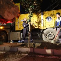 Bursa’da manolya zamanı 