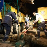 Bursa’da manolya zamanı 