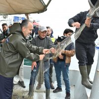 Büyükşehir desteği, denizde de hissedilecek 