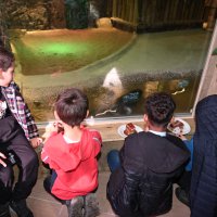 Bursa Hayvanat Bahçesi 25 yaşında 