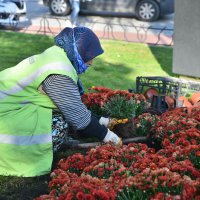 Büyükşehir, ‘yeşil’ hedefini aştı 