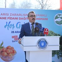 Büyükşehir’den kestane üretimine destek 