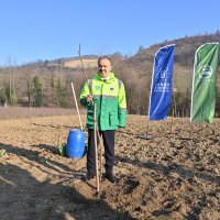 Büyükşehir’den kestane üretimine destek 