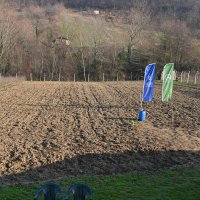 Büyükşehir’den kestane üretimine destek 