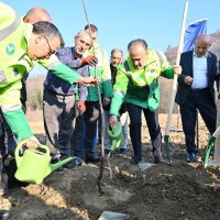 Büyükşehir’den kestane üretimine destek 
