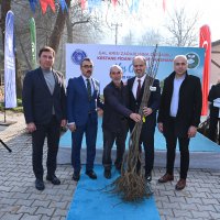 Büyükşehir’den kestane üretimine destek 