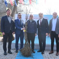 Büyükşehir’den kestane üretimine destek 