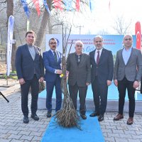 Büyükşehir’den kestane üretimine destek 