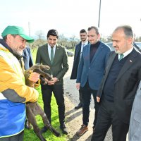 Büyükşehir’le çaresiz değilsiniz 