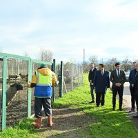 Büyükşehir’le çaresiz değilsiniz 
