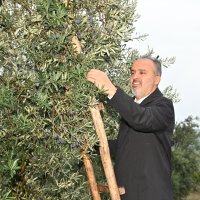 Toprak, Büyükşehir’le bereketleniyor 