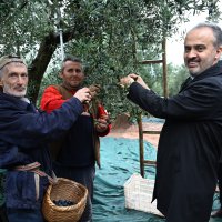 Toprak, Büyükşehir’le bereketleniyor 