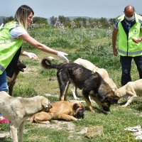 Can dostlara Büyükşehir şefkati 