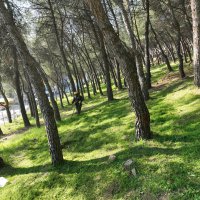 ‘Yeşil’ yatırımlar şehre nefes aldırıyor 