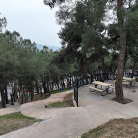 ‘Yeşil’ yatırımlar şehre nefes aldırıyor 