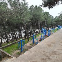 ‘Yeşil’ yatırımlar şehre nefes aldırıyor 