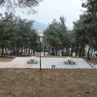 ‘Yeşil’ yatırımlar şehre nefes aldırıyor 