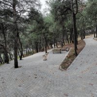 ‘Yeşil’ yatırımlar şehre nefes aldırıyor 