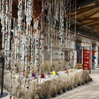 “Nazif’in düğmeleri” İstanbul’da 