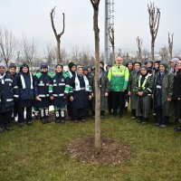 Kadınlar Günü’nde erguvan fidanları toprakla buluştu  