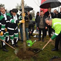 Kadınlar Günü’nde erguvan fidanları toprakla buluştu  