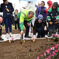 Kadınlar Günü’nde erguvan fidanları toprakla buluştu  