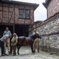 Erasmuslu öğrenciler Bursa Hayvanat Bahçesi’nde 