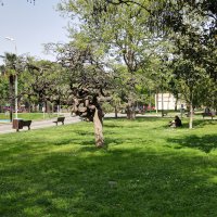 Bursa’da parklar yaza hazır 