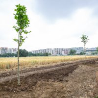 Gençlerle birlikte daha ‘Yeşil Bursa’ 