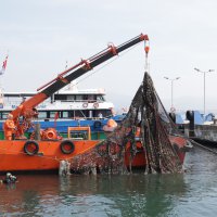 Marmara Denizi Günü 3’üncü kez kıyılarda kutlanıyor 