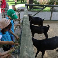 Bursa Hayvanat Bahçesi'nde çevre etkinliği 