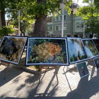 Hedef, daha temiz bir Marmara Denizi 