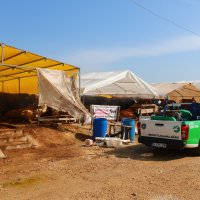 Büyükşehir Kurban Bayramı’na hazır 