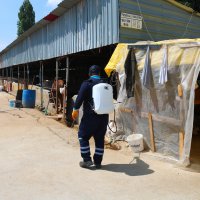 Büyükşehir Kurban Bayramı’na hazır 