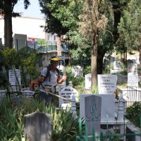 Büyükşehir ile 17 ilçedeki mezarlıklar bayrama hazır 