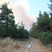 Bursa’da yangın seferberliği sürüyor 