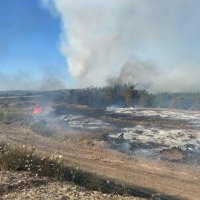 Büyükşehir, tüm ekipleriyle yangınla mücadele etti 