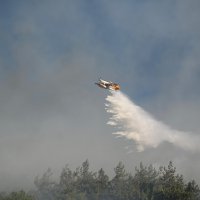 Büyükşehir, tüm ekipleriyle yangınla mücadele etti 