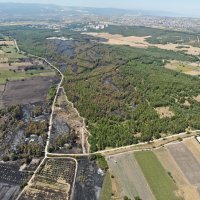 Başkan Bozbey’den ağaçlandırma çağrısı 
