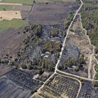 Başkan Bozbey’den ağaçlandırma çağrısı 