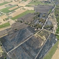 Başkan Bozbey’den ağaçlandırma çağrısı 