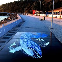 Bursa sokaklarında 3 boyutlu sanat 