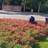 Bursa estetikle buluşuyor 