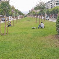 Bursa estetikle buluşuyor 