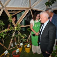 Bursa’da yeşil dönüşüm ‘Yeşil Kapsül’le başlıyor 