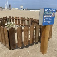 Bursa sahillerinde görülen ‘kum zambakları’ koruma altında 