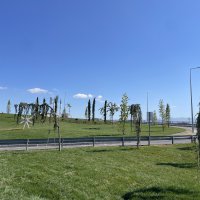 Büyükşehir’den Bursa’ya nefes aldıracak çalışma 