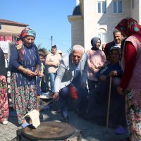 Büyükşehir ‘siyez buğdayı’ desteğiyle çiftçinin yanında 