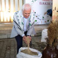 Büyükşehir ‘siyez buğdayı’ desteğiyle çiftçinin yanında 