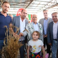 Büyükşehir ‘siyez buğdayı’ desteğiyle çiftçinin yanında 